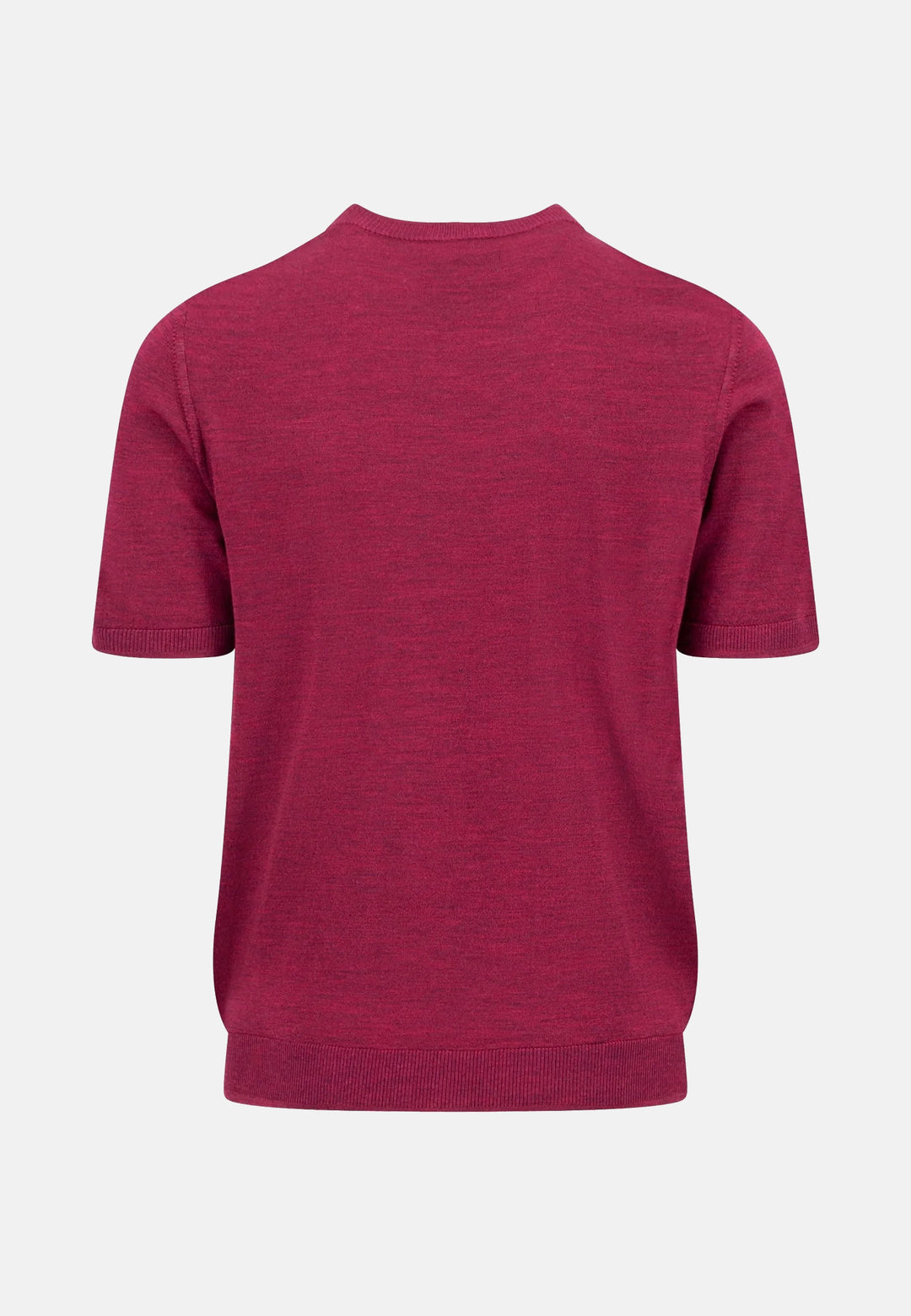 Merino Wool Fine Gauge Knit T-Shirt Grape