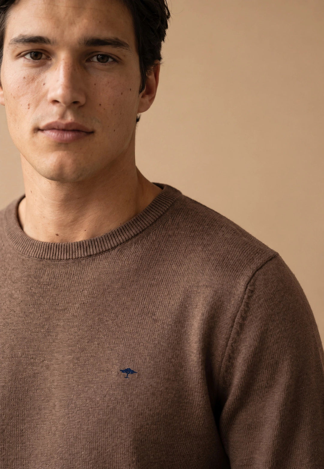 Fynch-Hatton Fine Knit Cotton Crewneck Sweater Dark Chocolate 1614210-861-M