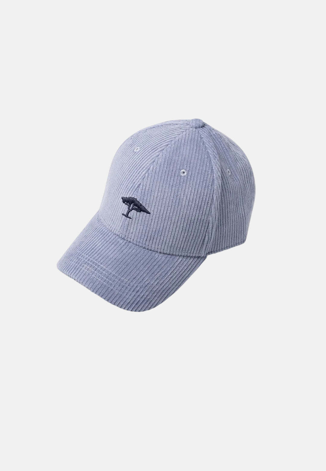 Essential Corduroy Cap Air Blue